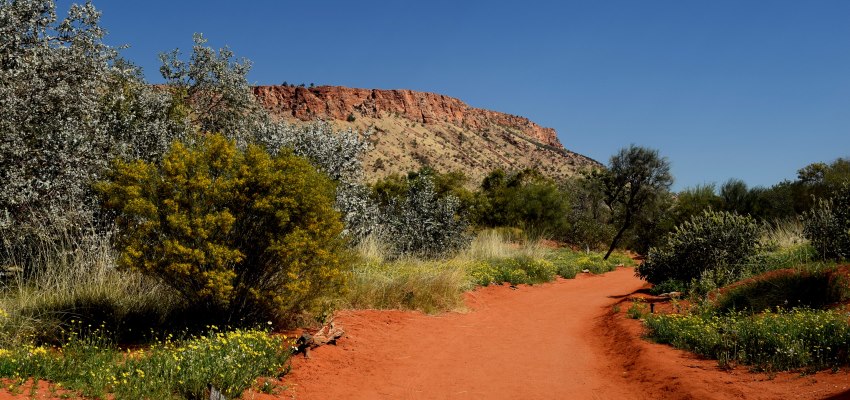 AS Desert Park Natalie Davis 850 x 400